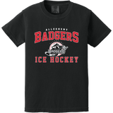 Allegheny Badgers Youth Heavyweight Ring Spun Tee