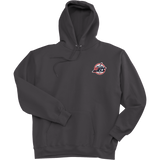 Metro Jets Super Heavyweight Fleece Hoodie